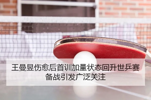 王曼昱伤愈后首训加量状态回升世乒赛备战引发广泛关注