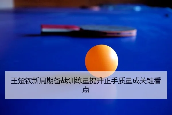 王楚钦新周期备战训练量提升正手质量成关键看点